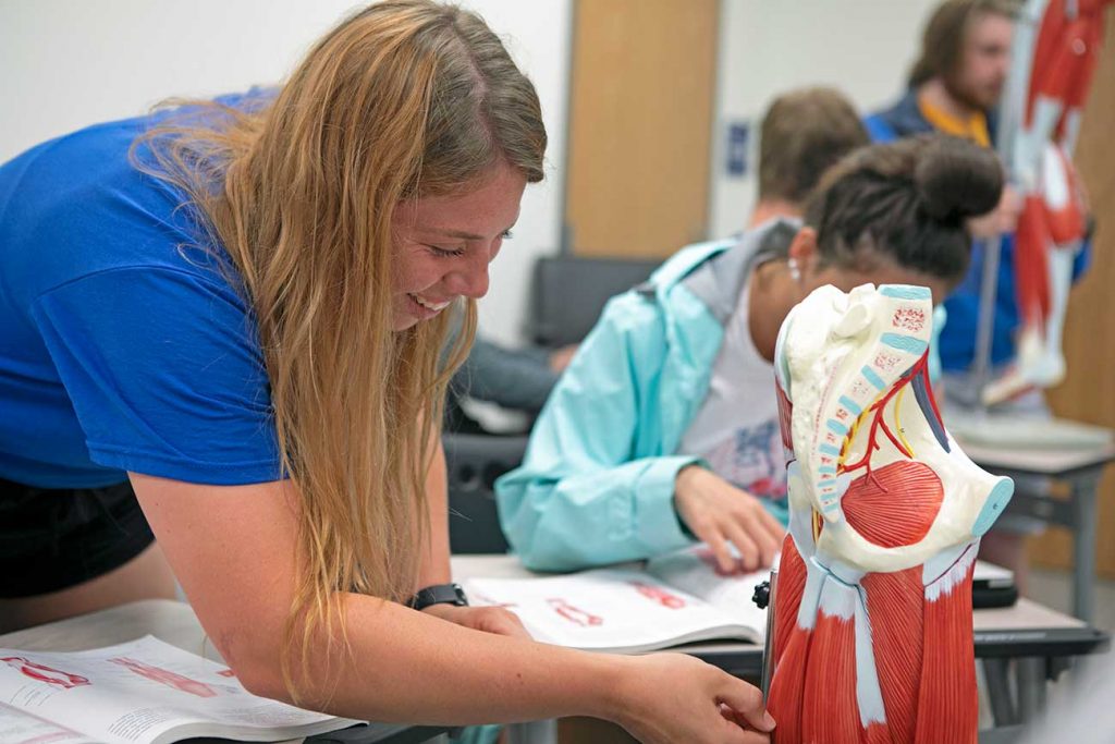 Pre-physical therapy majors in Pre-Physical therapy bachelors degree program