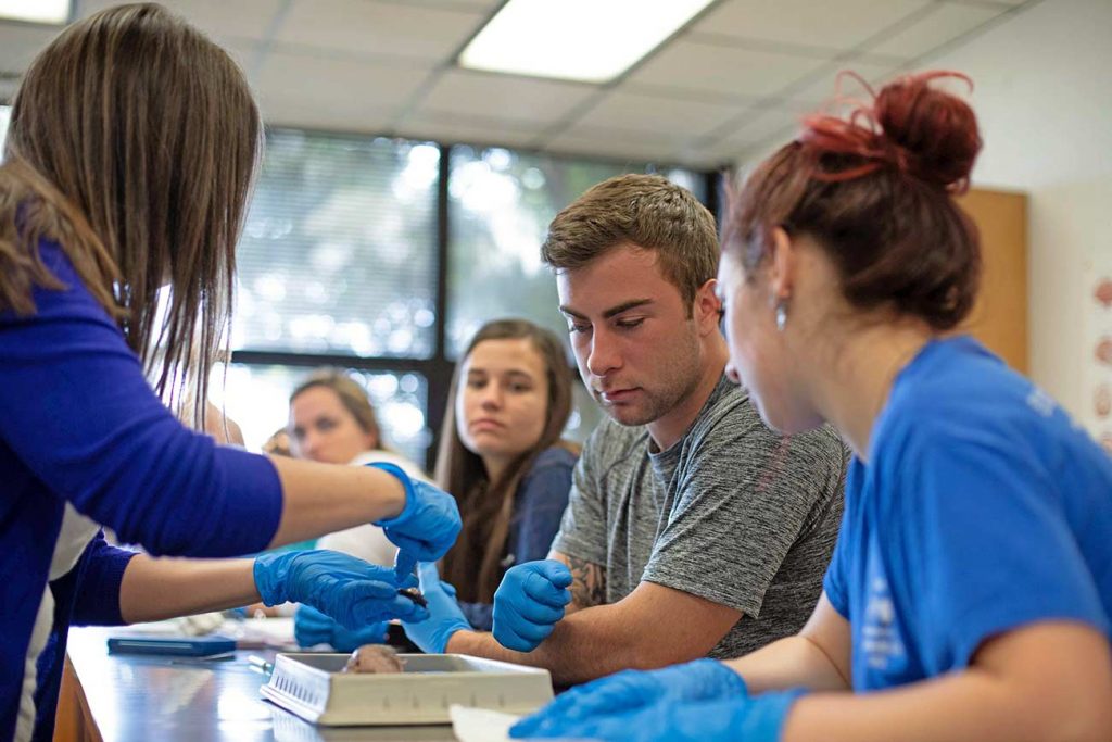 McNeese science students in hands on lab