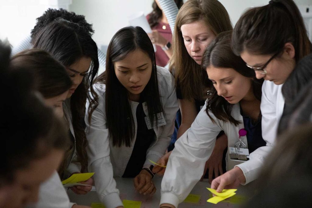 Biological science majors in the Biological science bachelors degree program at McNeese State University