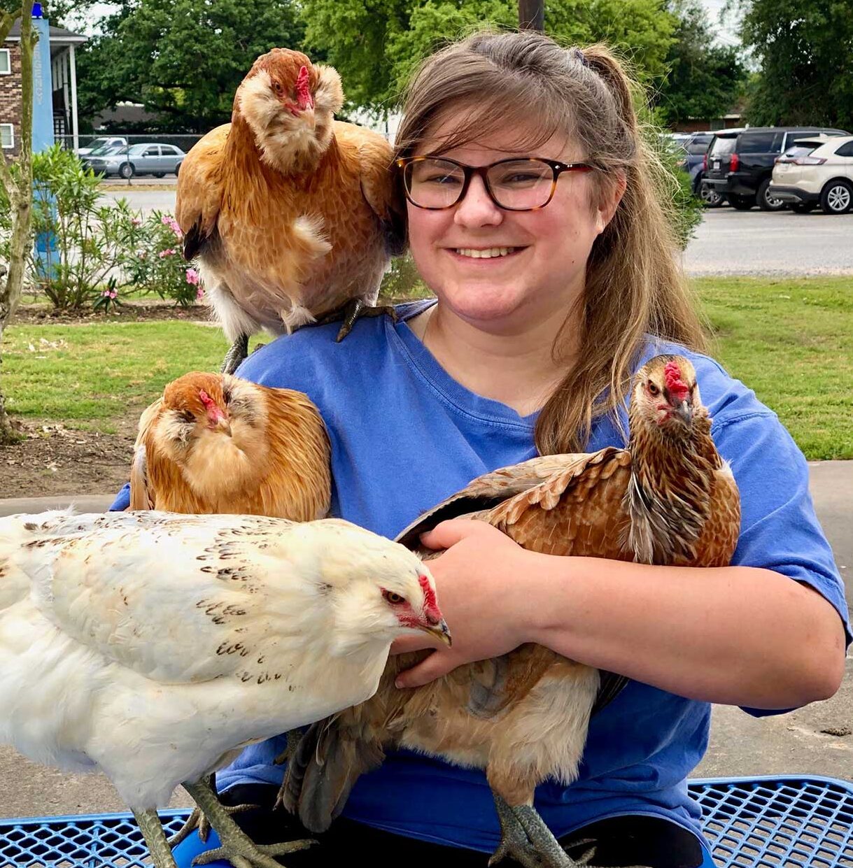 McNeese student employee working with animals on McNeese farm