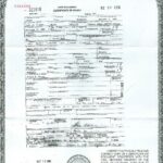 Death Certificate sample image