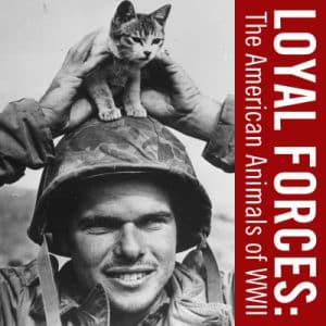 Toni Kiser's co-authored book cover Loyal Forces: The American Animals of World War II