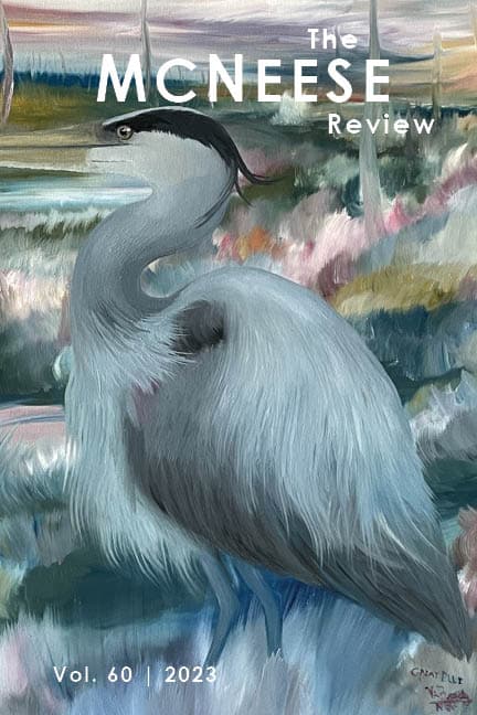 Cover of Volume 60. Egret in a swamp