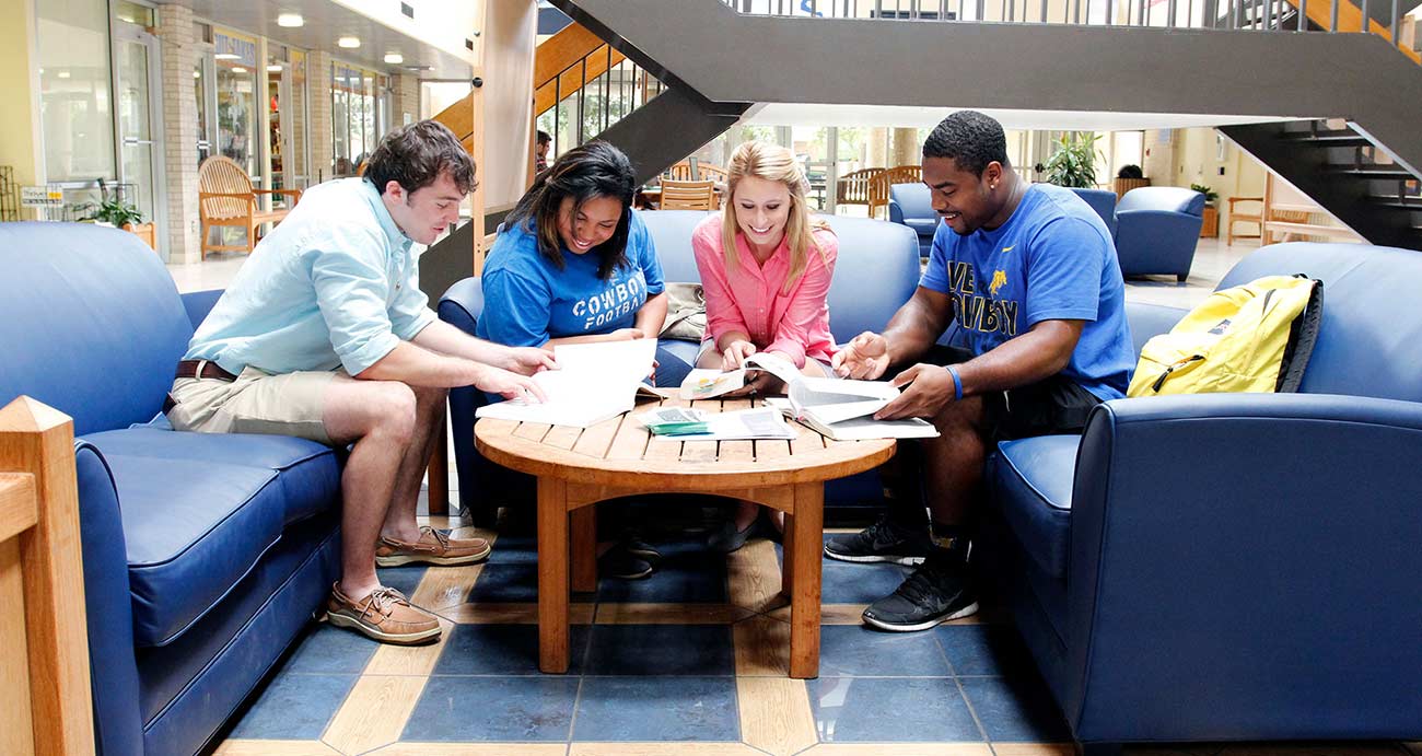 (c) Mcneese.edu