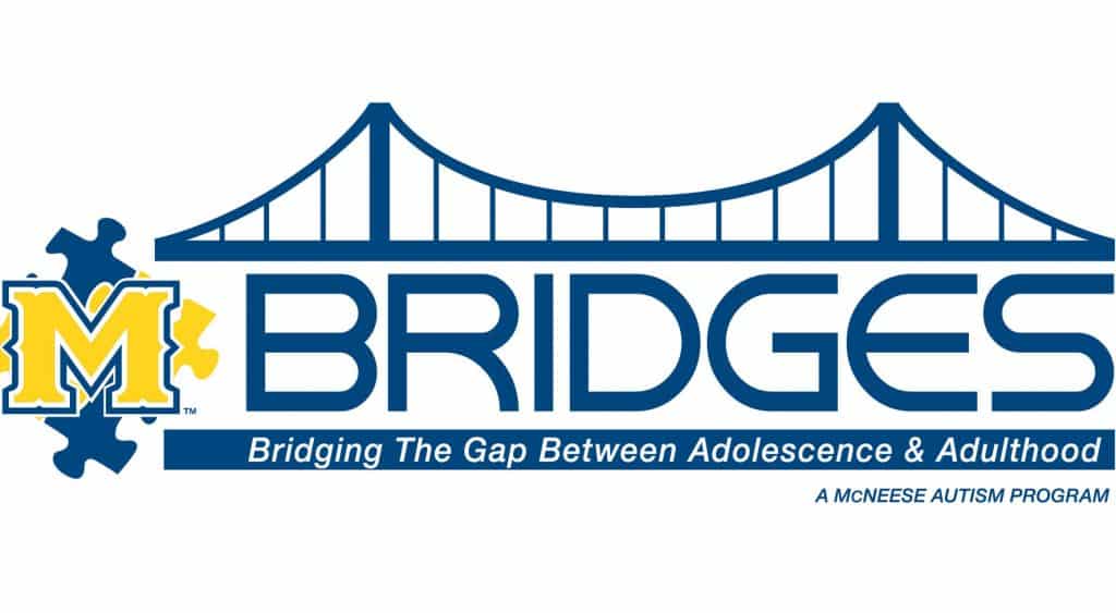 BRIDGES logo