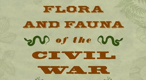 Flora And Fauna of the Civil War Book Cover