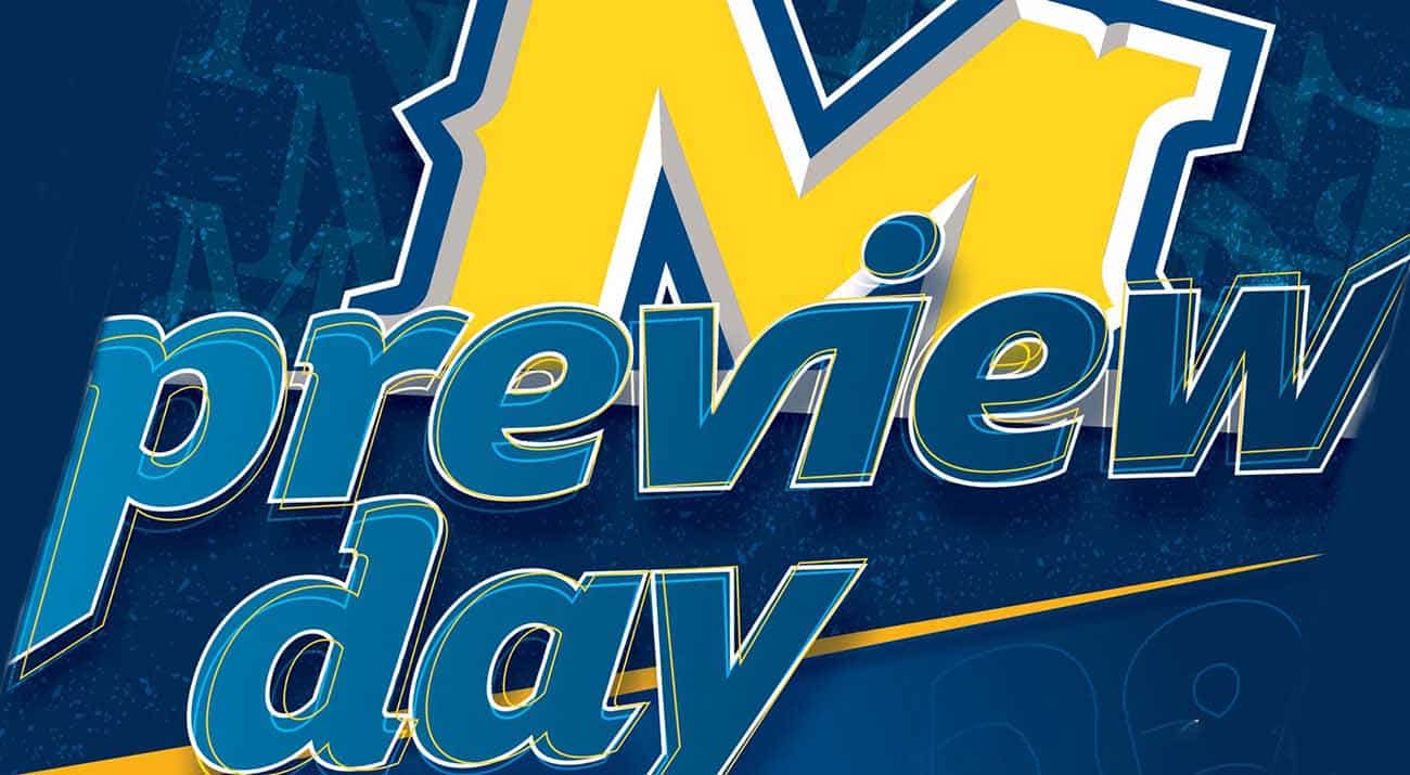 Preview Day.919 Preview Day poster