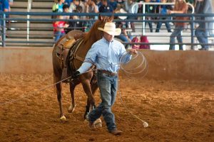 Cowboy and his horse at a rodeo