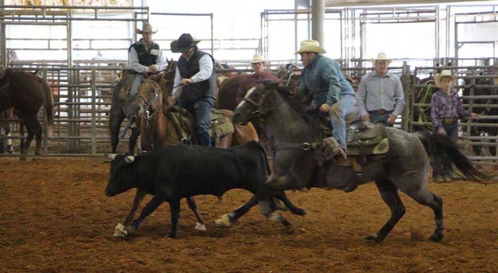 Two rodeo members work to capture an animal