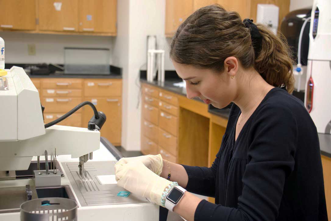 Student works with tissue samples