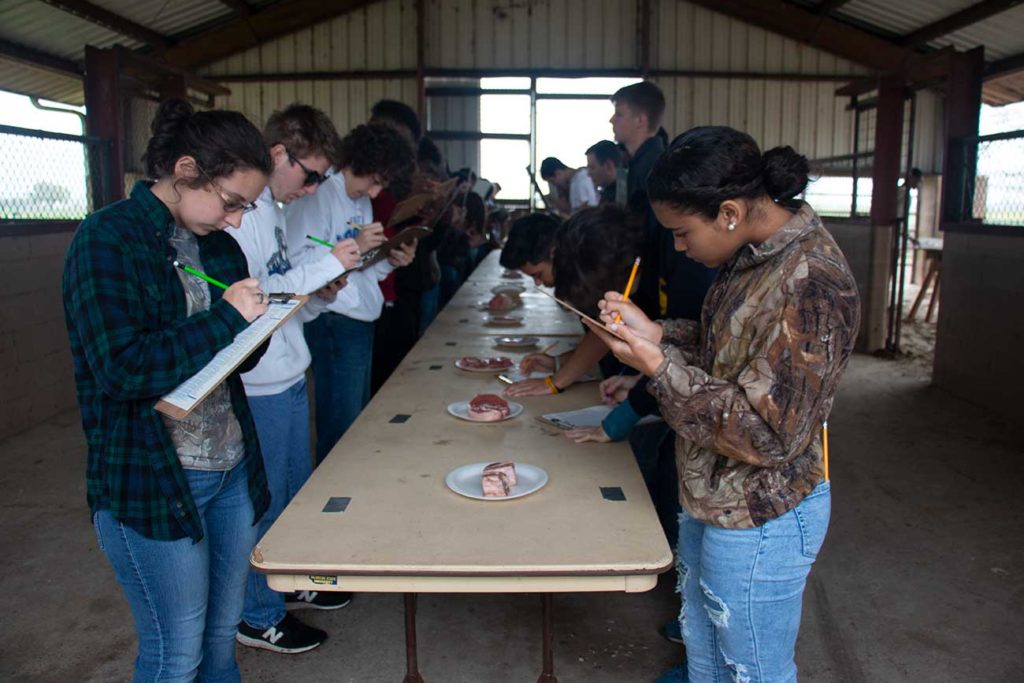 High school students judge meat cuts