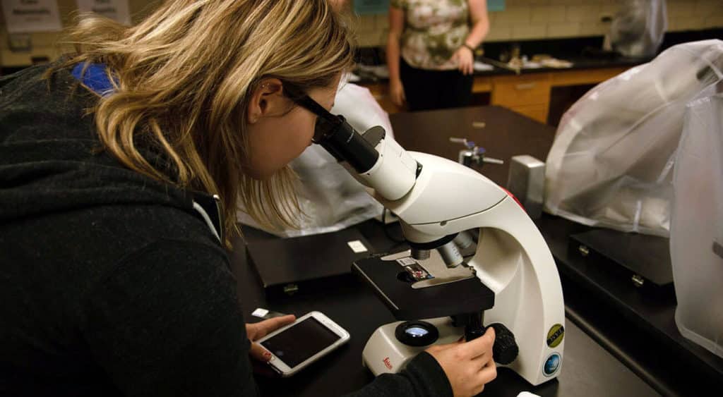 A student views a sample through a microscope.