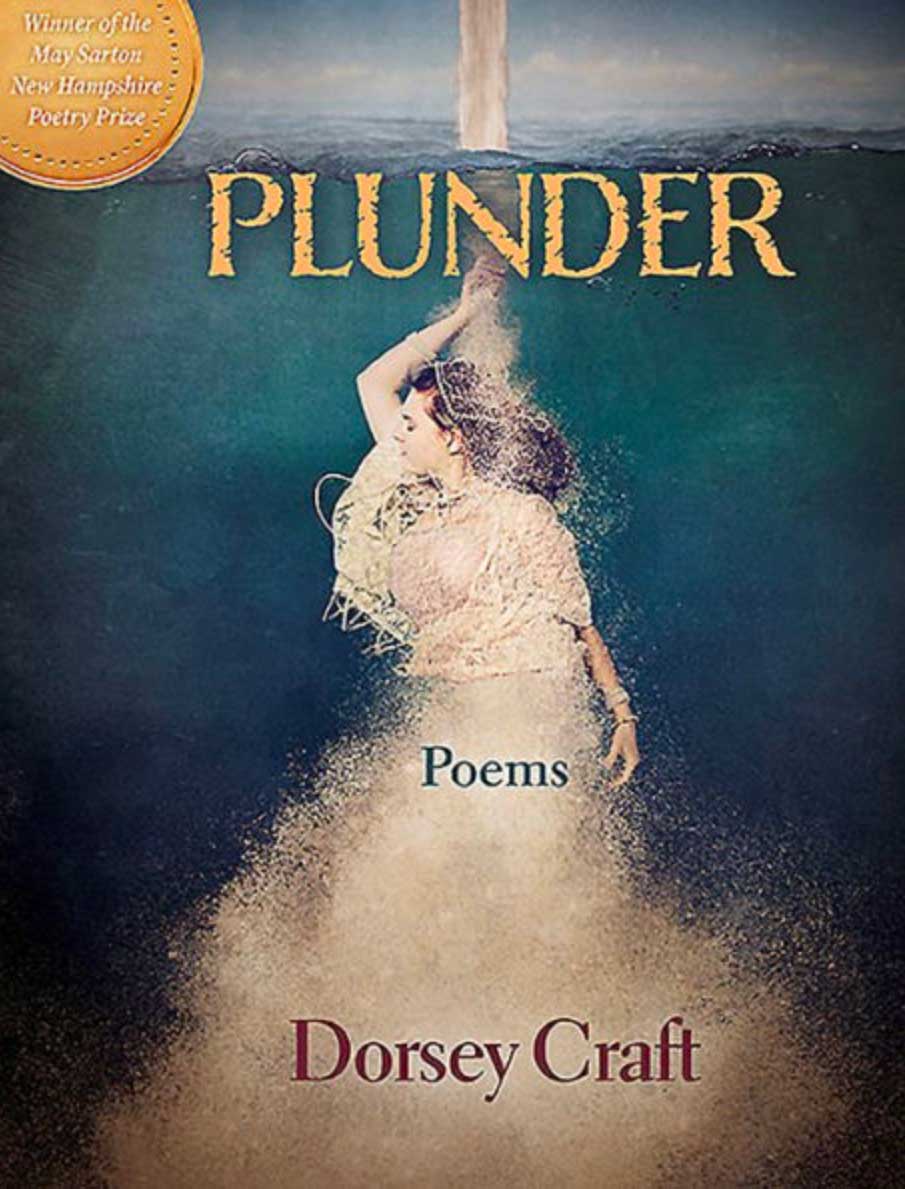 Plunder book cover