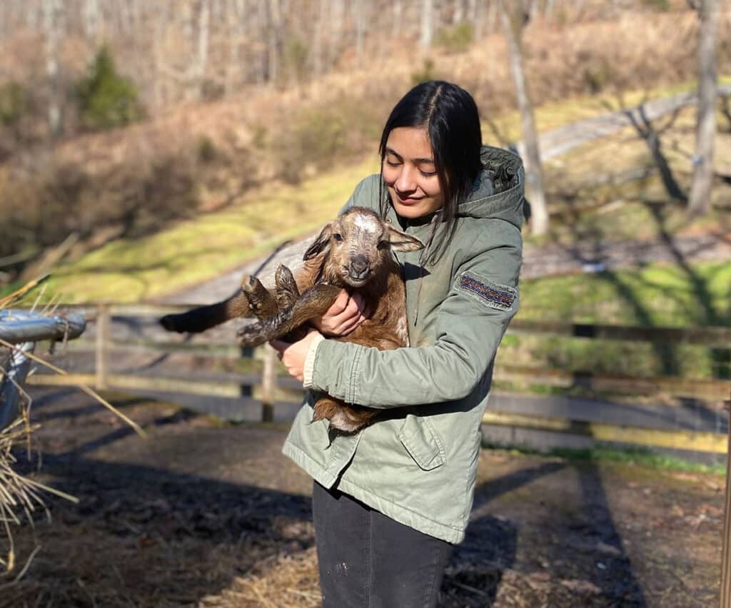 MFA degree program graduate student Gauri Awasthi with a lamb at Firefly Farms