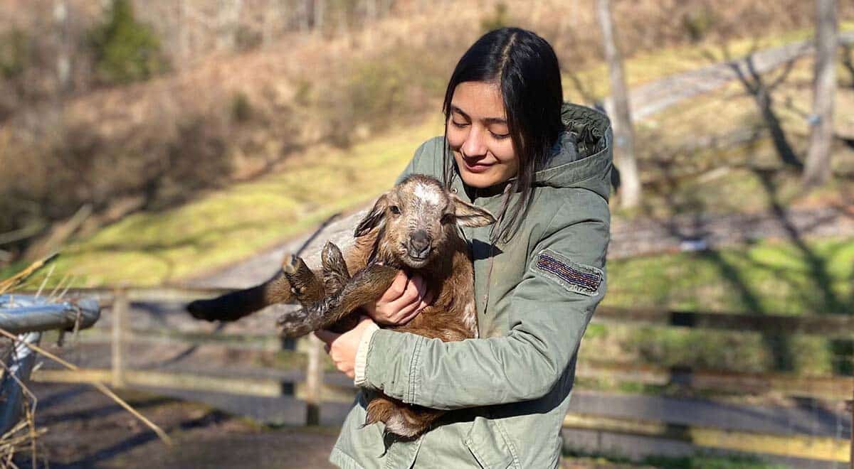 Gauri Awasthi holds a lamb while at Firefly Farms.