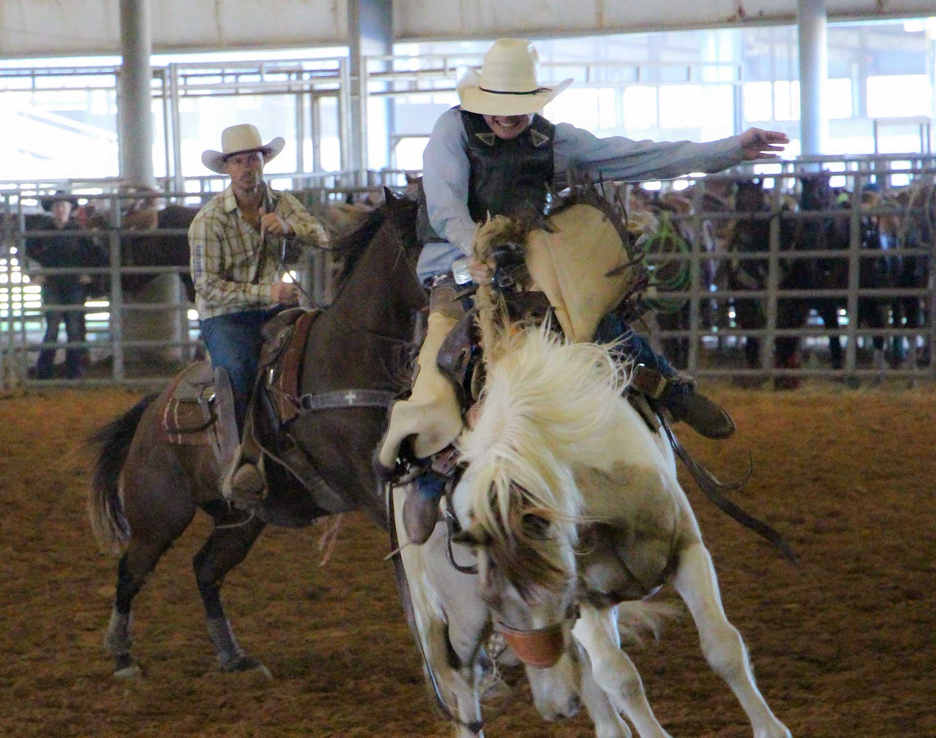 Cowboy competing at McNeese