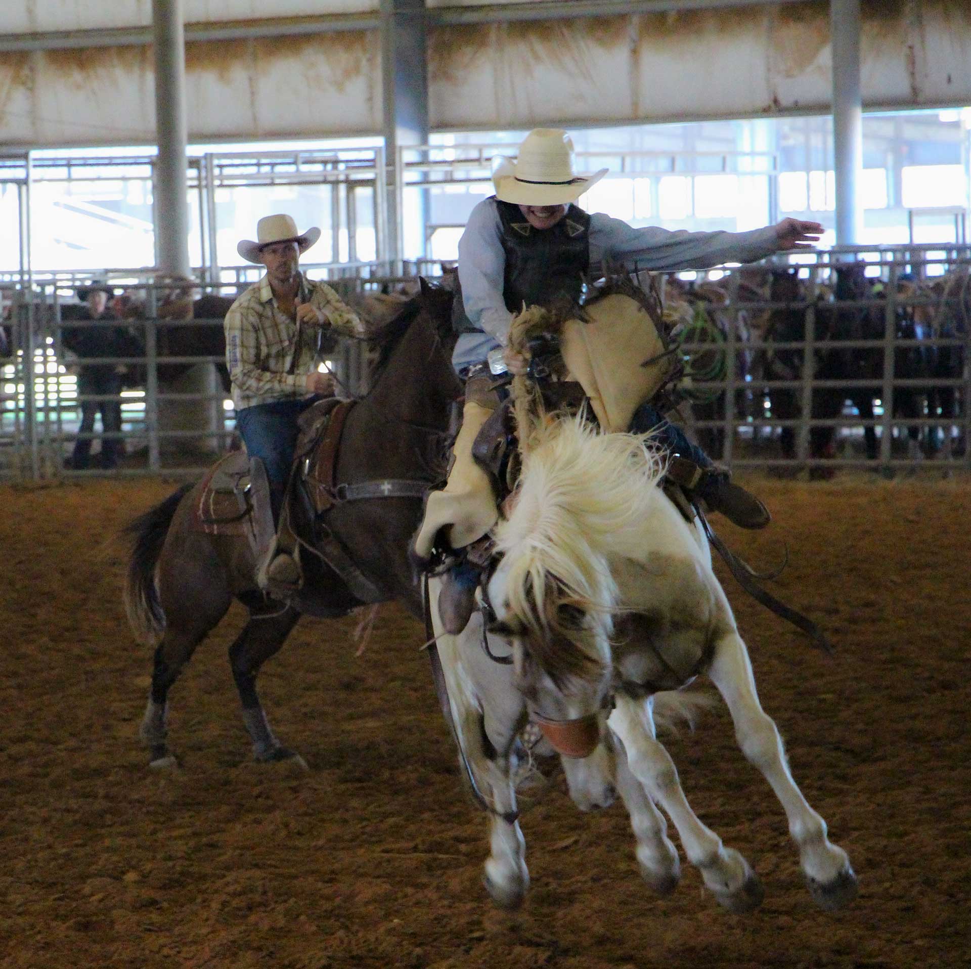 McNeese rodeo member