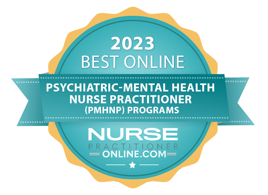 Best Online Nurse Practitioner Program