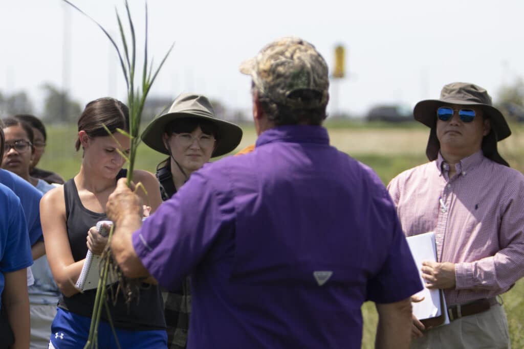 McNeese and LSU Ag Center Partnership