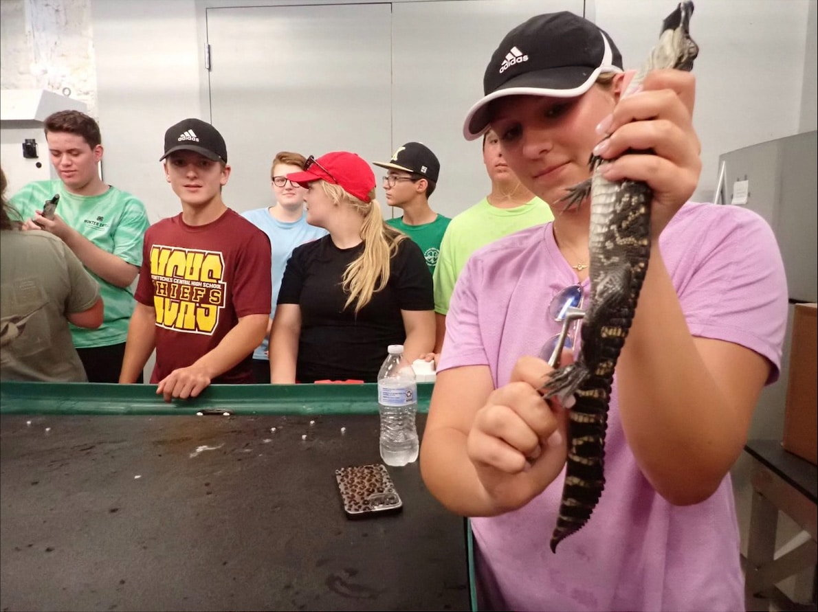 McNeese Student Interns at Alligator Farm 