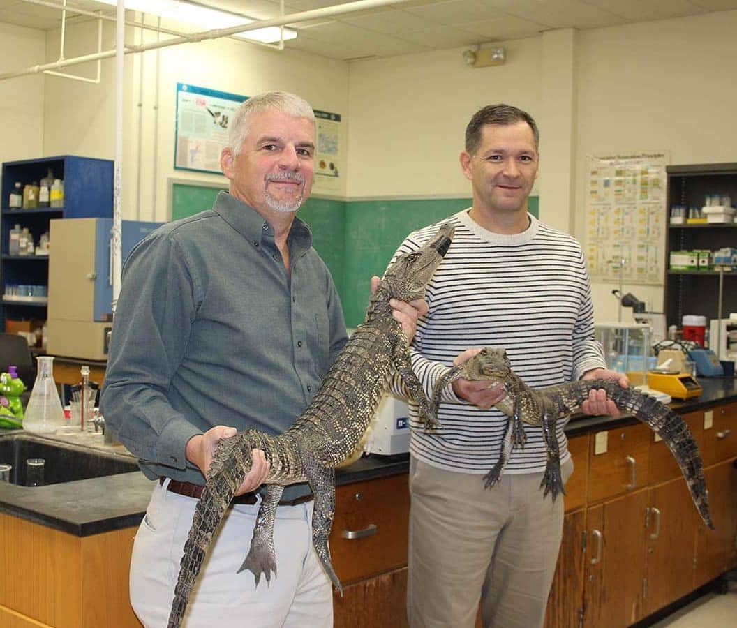 Two men holding baby alligators in a science lab with beakers and lab equipment in the background.