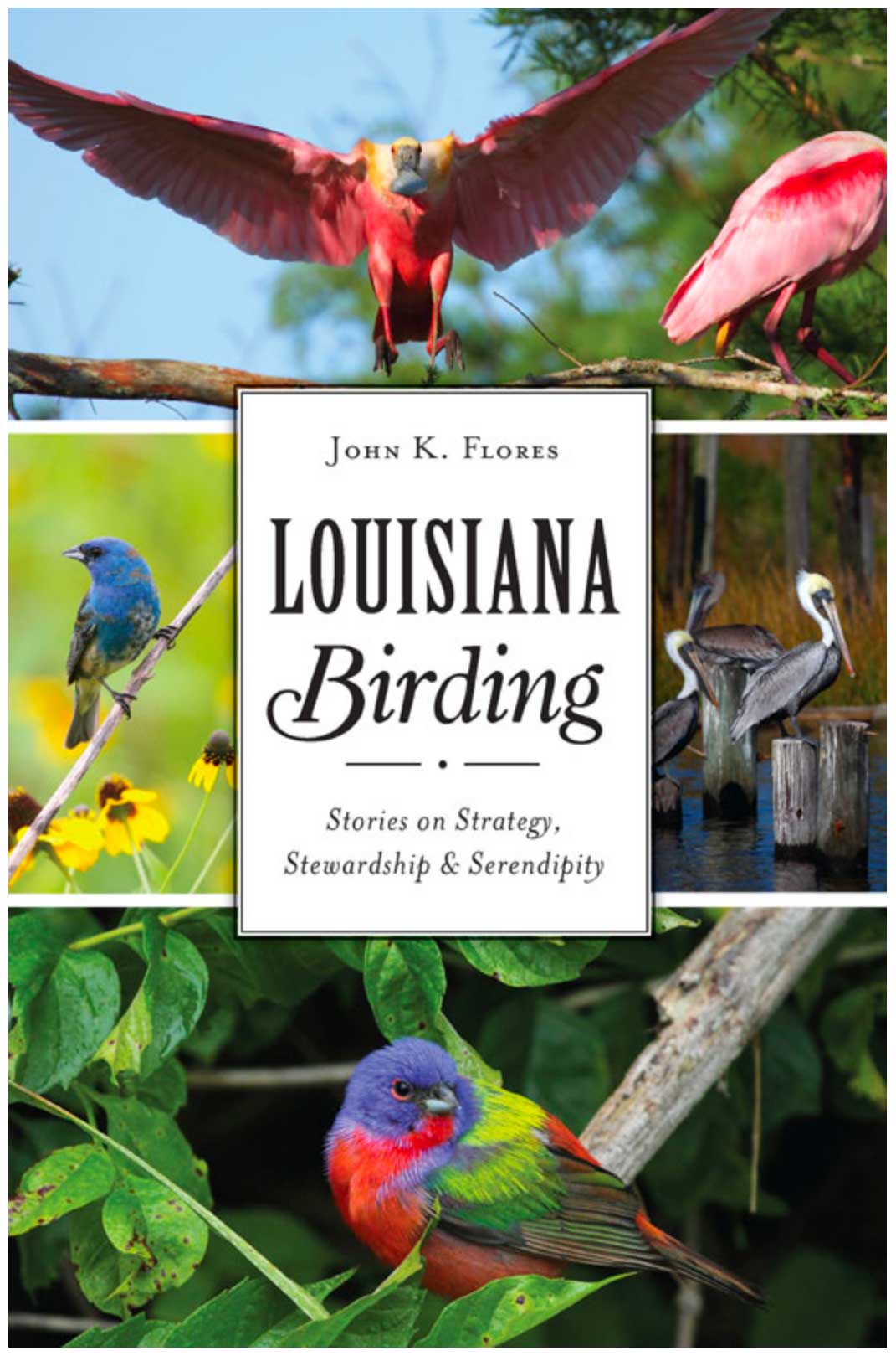 SAGE Series Presents “Louisiana Birding: Stories on Strategy, Stewardship and Serendipity”