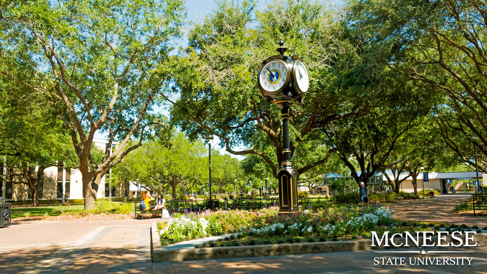 McNeese Makes U.S. News & World Report List for 10th Straight Year