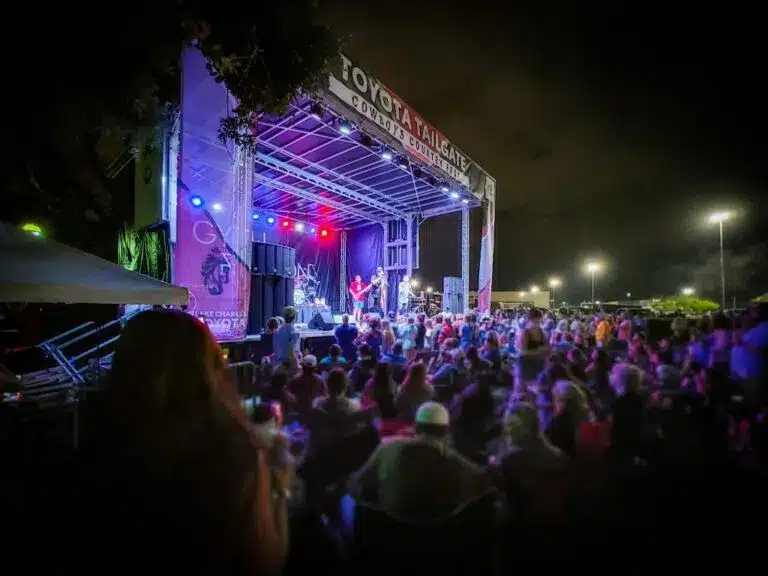 Outdoor concert at night with colorful lighting and a large crowd watching band on stage.
