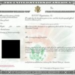 US Certificate of Naturalization with Homeland Security details and blank spaces for personal information.