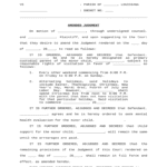Amended court judgment document outlining visitation and custody rights in Louisiana parish court.