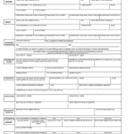 Louisiana marriage certificate template with sections for groom, bride, covenant marriage, and ceremony details.