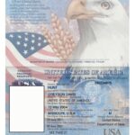 US passport showing eagle illustration, personal details, and security features.