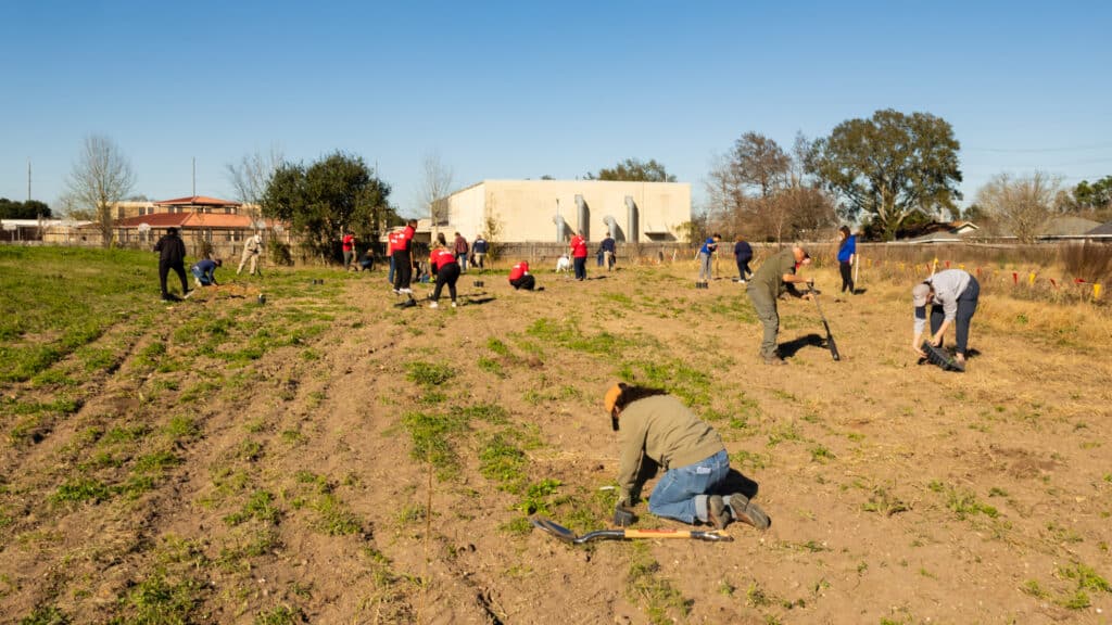 McNeese faculty and students with Woodside Energy volunteers planting native plants in the Cajun Prairie area of campus.