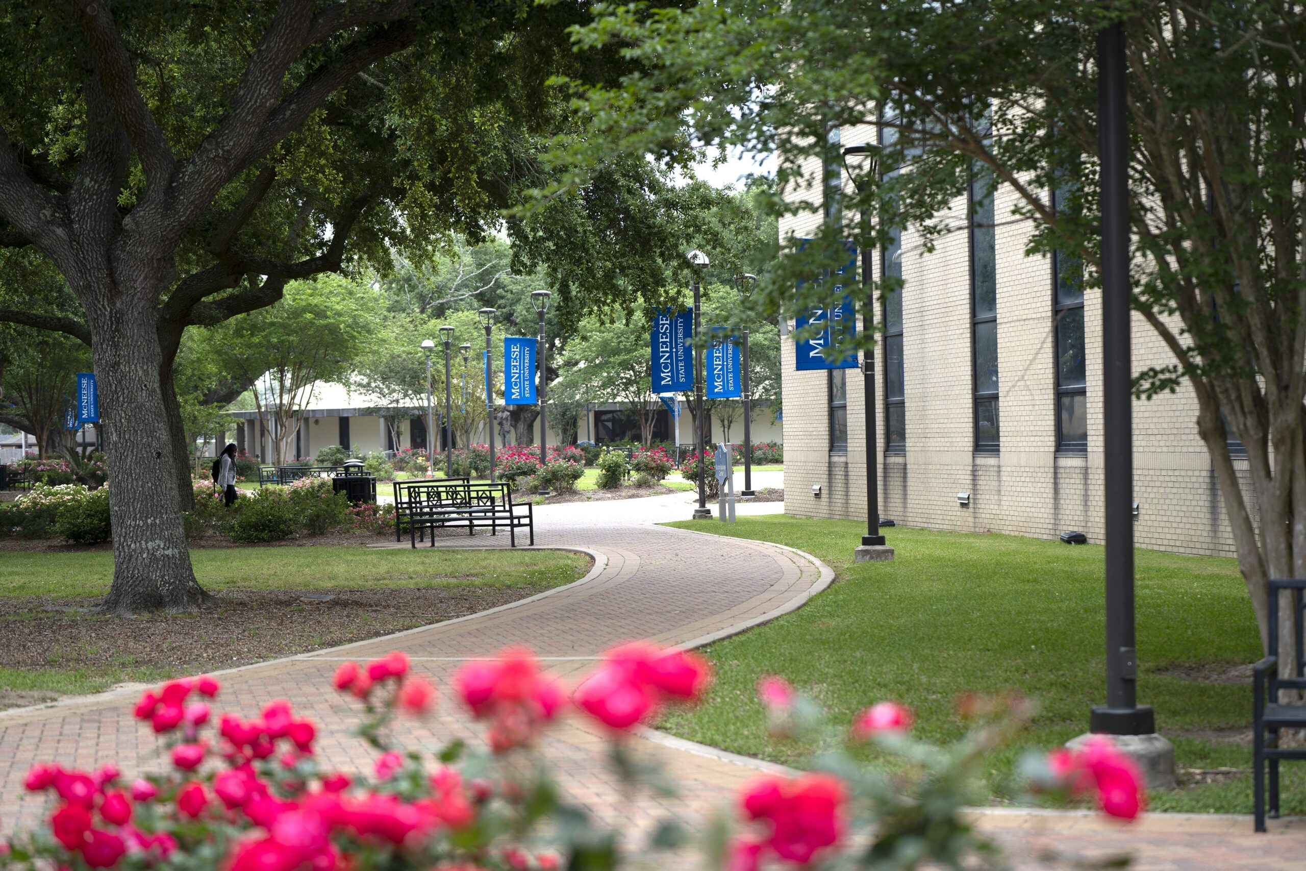 Campus pathway with blue banners, flowering plants, benches, and trees beside a building on a sunny day.