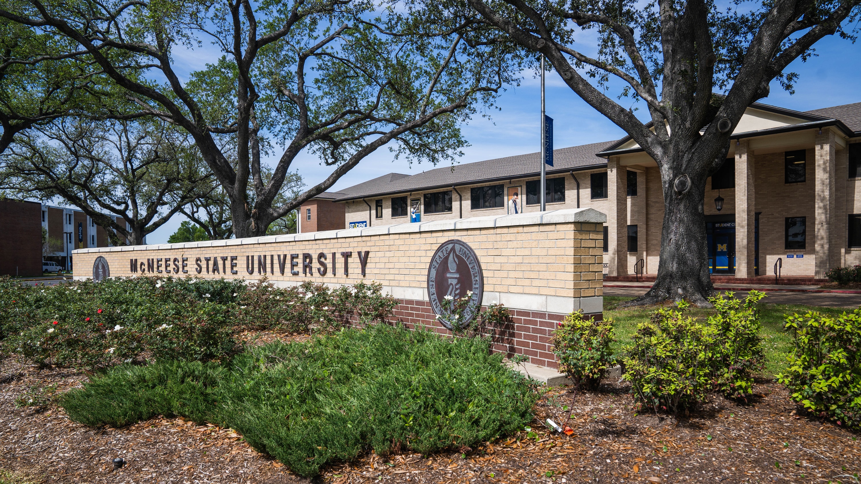 McNeese State University entrance sign surrounded by greenery and large oak trees under a clear blue sky.