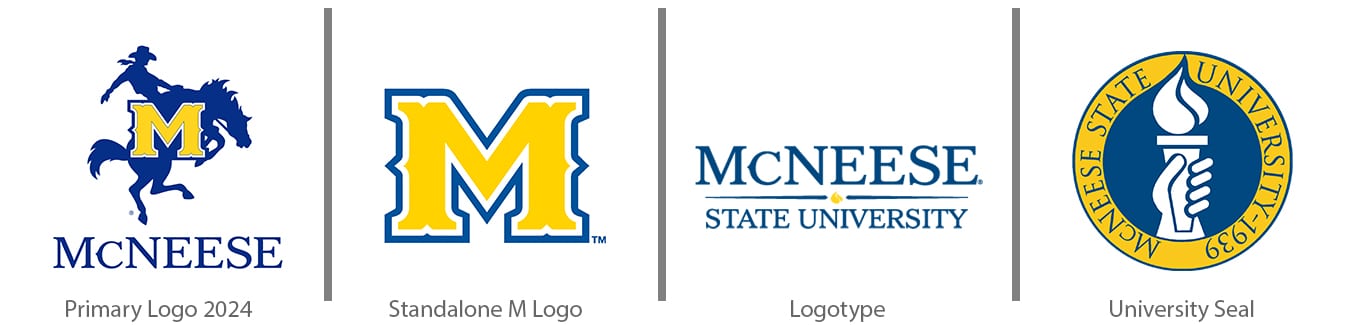 Logo Options