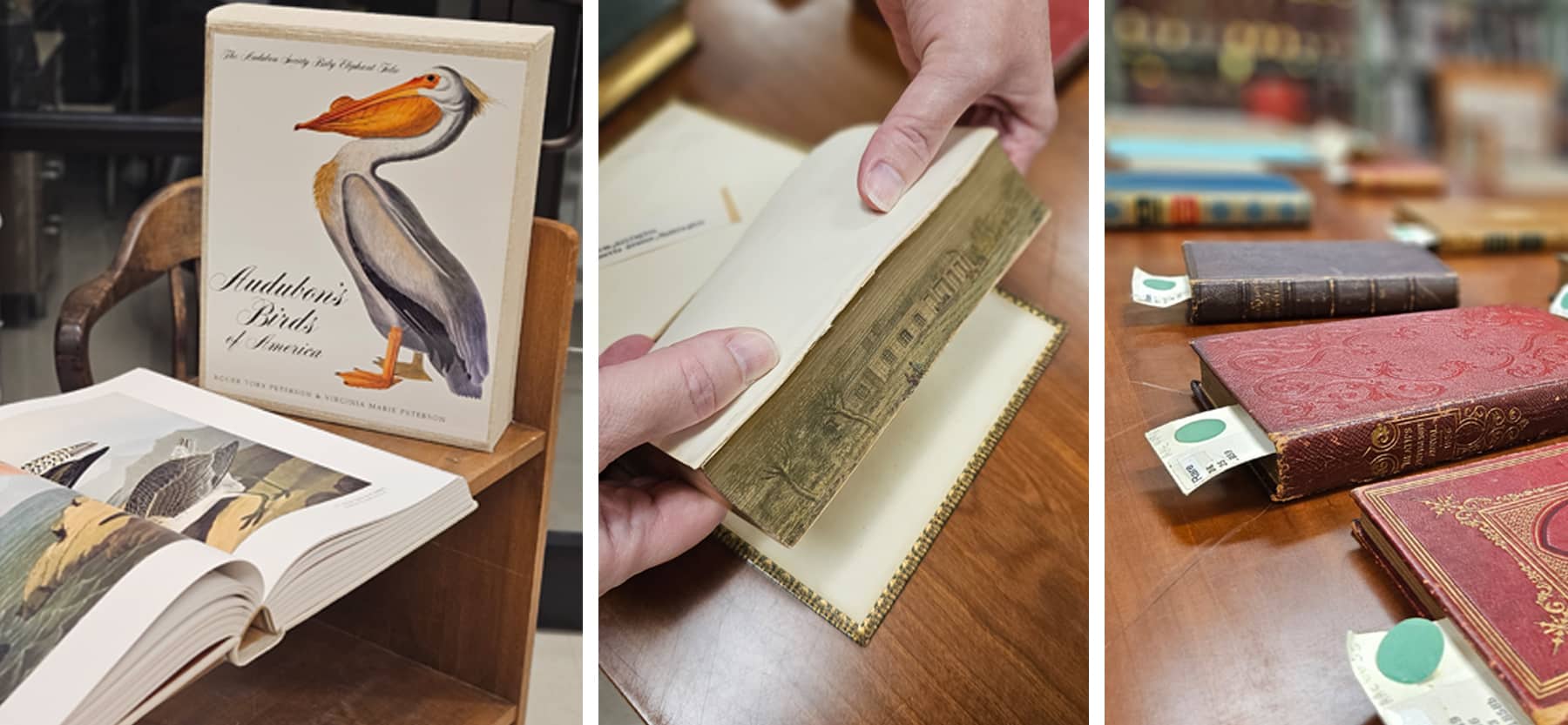 Frazar Memorial Library to Host a Rare Book Petting Zoo 